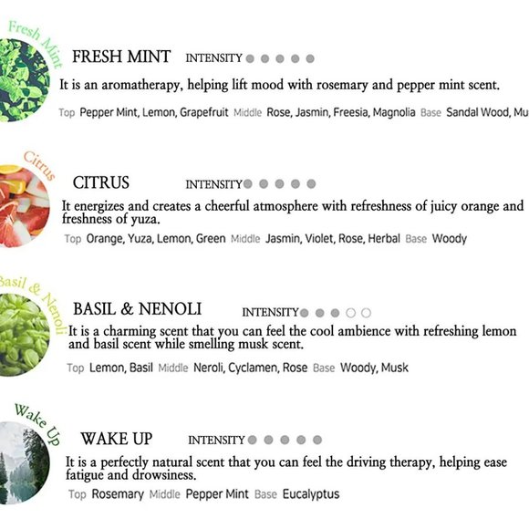 Émerci Mint Luxury Car Vent Clip On Air Freshener Gift Set - Picture 7 of 8